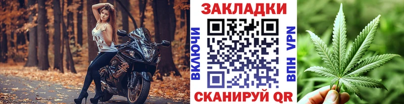 APVP Гатчина