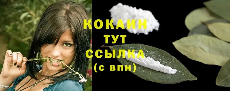 Магазины продажи наркотиков Гатчина Конопля  Cocaine  СК  Меф 