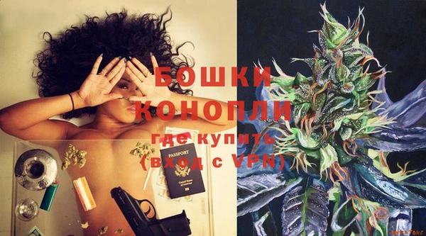 ГАЛЛЮЦИНОГЕННЫЕ ГРИБЫ Белокуриха