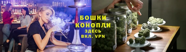 ГАЛЛЮЦИНОГЕННЫЕ ГРИБЫ Белокуриха