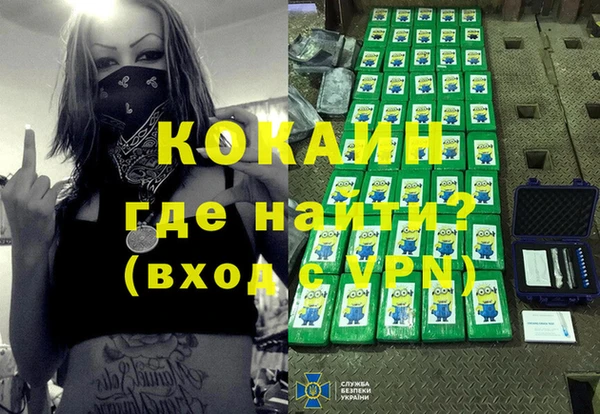 ГАЛЛЮЦИНОГЕННЫЕ ГРИБЫ Белокуриха