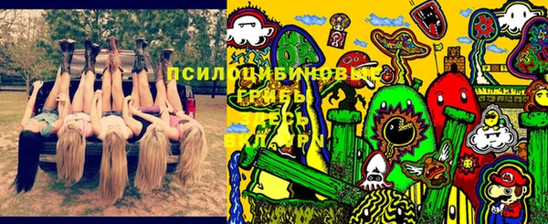 ГАЛЛЮЦИНОГЕННЫЕ ГРИБЫ Белокуриха