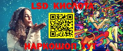 a pvp Гатчина