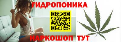 PSILOCYBIN Гусиноозёрск
