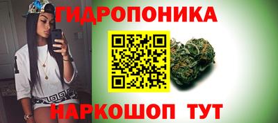 PSILOCYBIN Гусиноозёрск