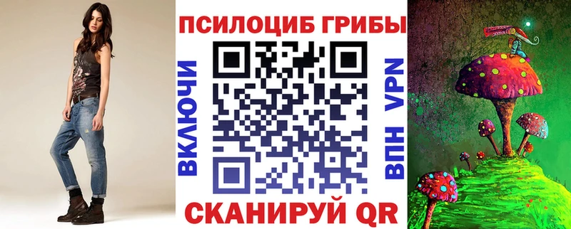 Псилоцибиновые грибы мицелий  как найти наркотики  Гатчина 