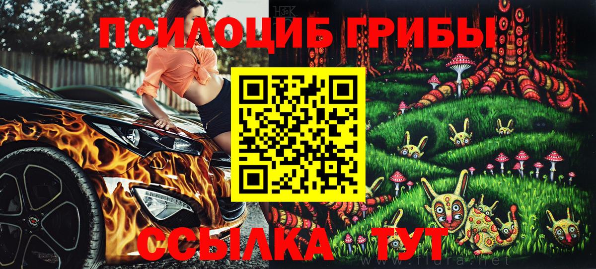 Гатчина  Галлюциногенные грибы Cubensis  Вход с VPN 