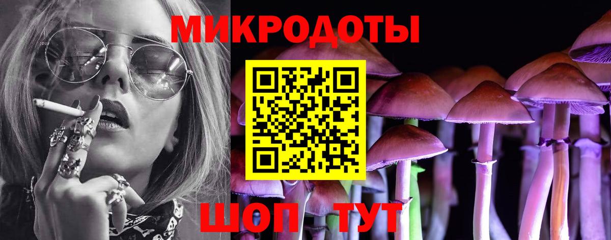 как найти наркотики  Гатчина  Галлюциногенные грибы Psilocybine cubensis 