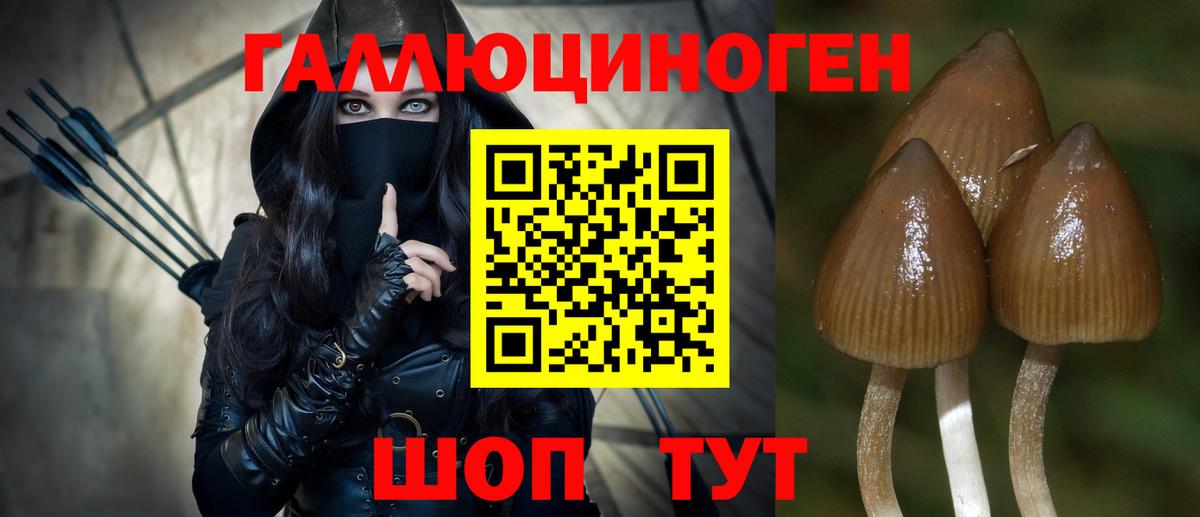 A-PVP  ЛЁД  Марки ЛСД  Cocaine  Гатчина  Вход с VPN  Мяу-Мяу  МЕФ  Гарик  Каннабис  Бошки Шишки 